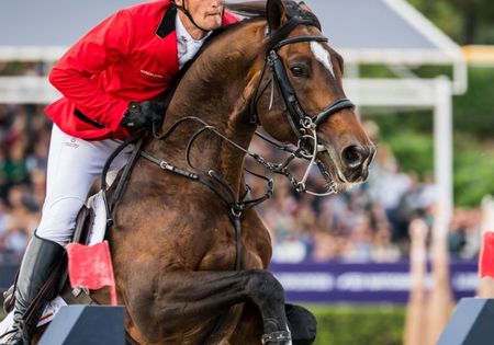 België wint zilver in Nations Cup - Olivier Philippaerts rijdt perfect kampioenschap