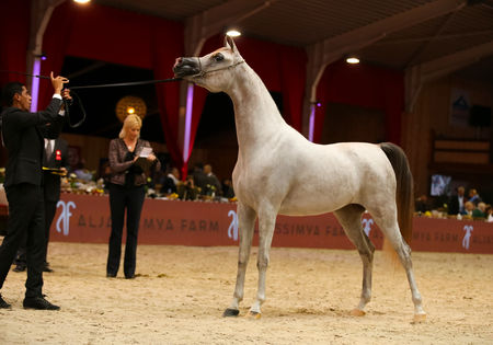 Topsport en show gaan hand in hand tijdens EK