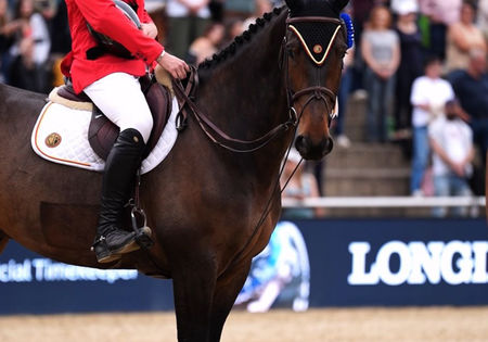 Anthony Philippaerts springt bij debuut meteen naar zilver in Mannheim