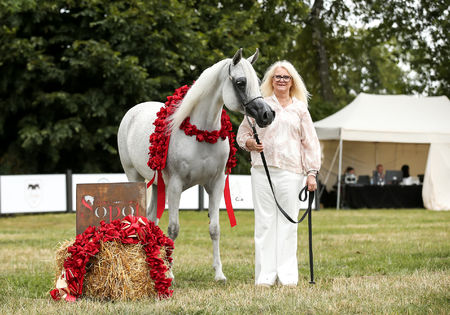 Christine Jamar organiseert voor de 19e keer het EK van Arabische volbloedpaarden