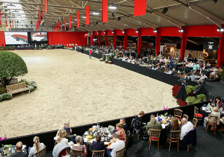 Hoogstaand EK voor Arabische volbloedpaarden