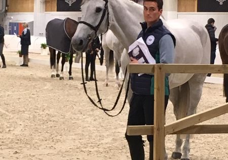 Wereldbeker Jumping: Olivier Philippaerts naar wereldbekerfinale