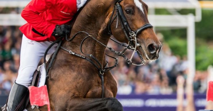 België wint zilver in Nations Cup - Olivier Philippaerts rijdt perfect kampioenschap