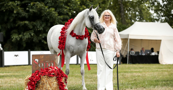 Christine Jamar organiseert voor de 19e keer het EK van Arabische volbloedpaarden