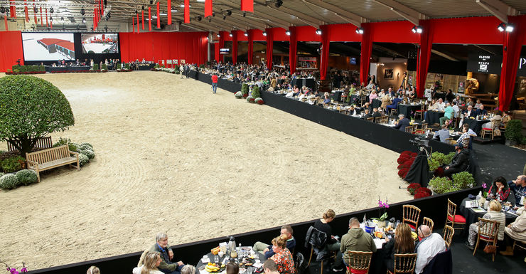 Hoogstaand EK voor Arabische volbloedpaarden