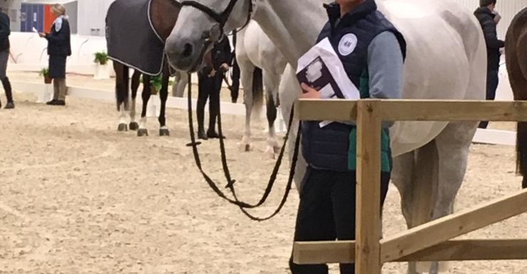 Wereldbeker Jumping: Olivier Philippaerts naar wereldbekerfinale